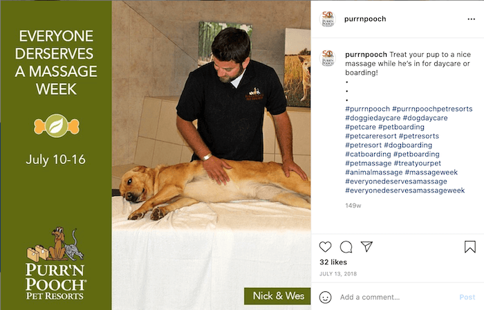 июль маркетинговые идеи каждый заслуживает массажа неделя собаке делают массаж