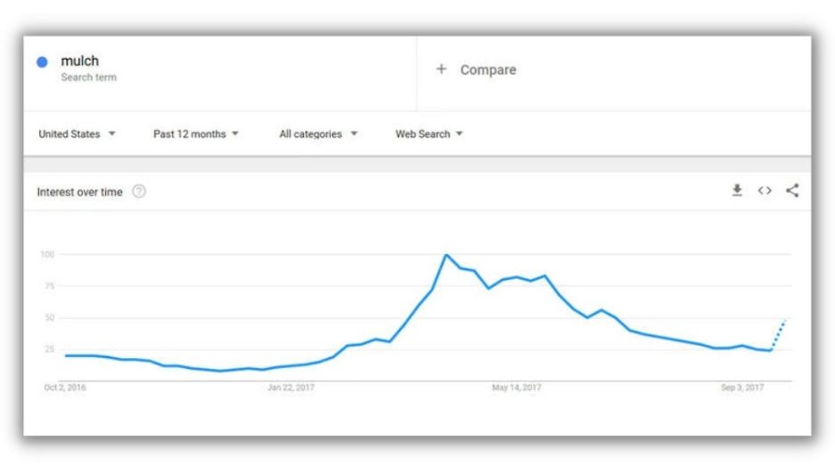 Алгоритм YouTube – график популярности поискового запроса "мульча"