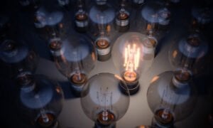 one bright lightbulb among dark ones