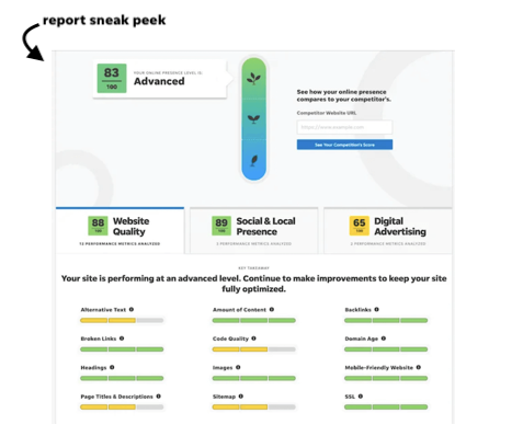 localiq website grader sample report