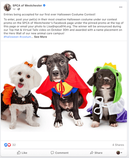 october marketing ideas: pet costume contest