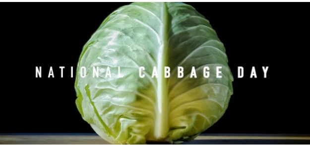 february marketing ideas - national cabbage day