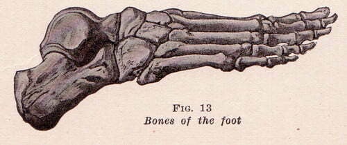 Footer Links