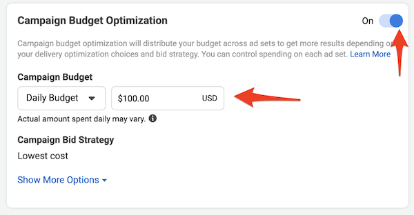 Facebook local awareness ads campaign budget optimization