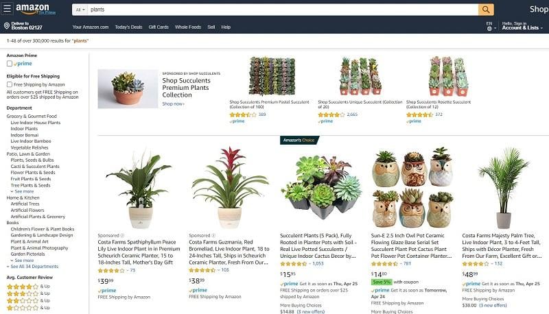 Sponsored Brands on Amazon example