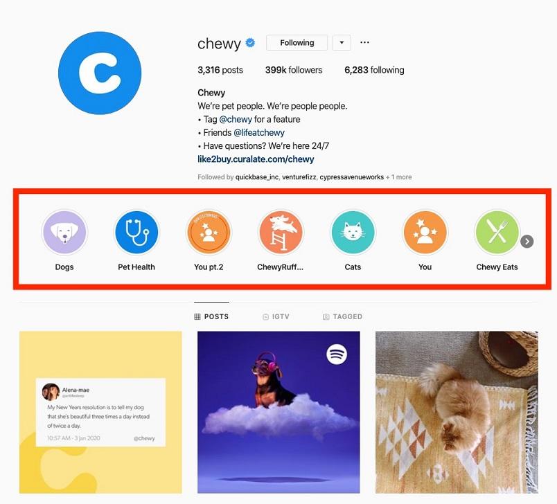 Chewy Instagram Stories