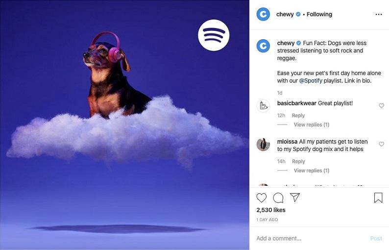 Best Business Instagram Account: Chewy
