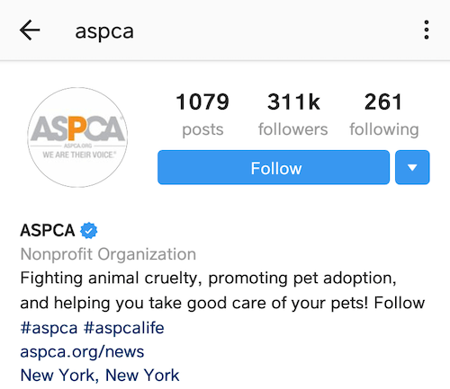 best instagram bios ASPCA