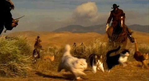 Call to action examples cowboys herding cats on horseback