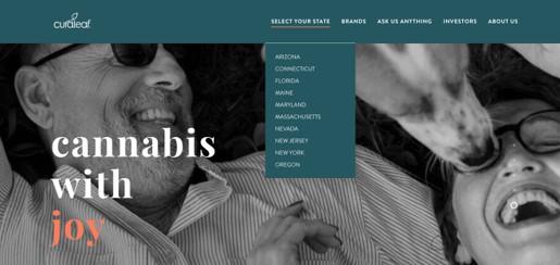 cannabis marketing MSO example