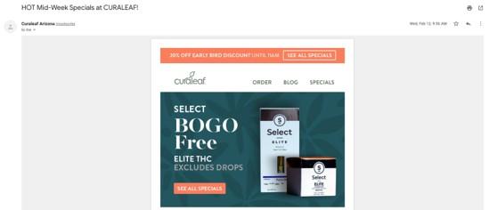 cannabis marketing email example