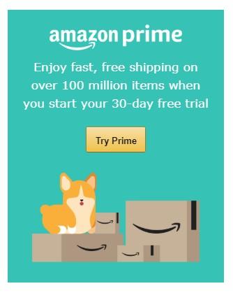 cognitive biases Amazon Prime
