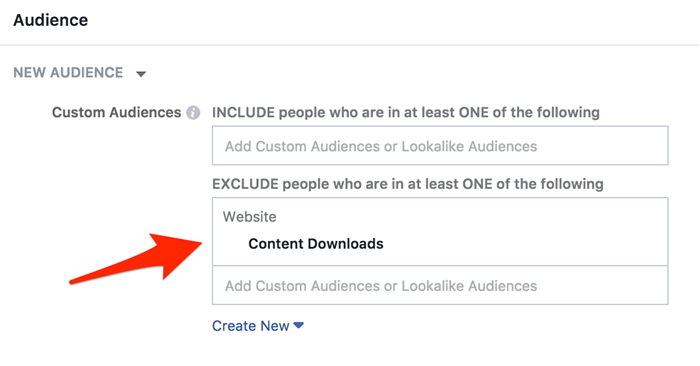 custom audience in facebook based on content download