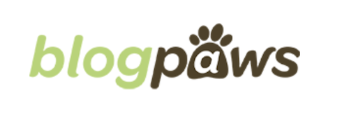 creative newsletter names blog paws