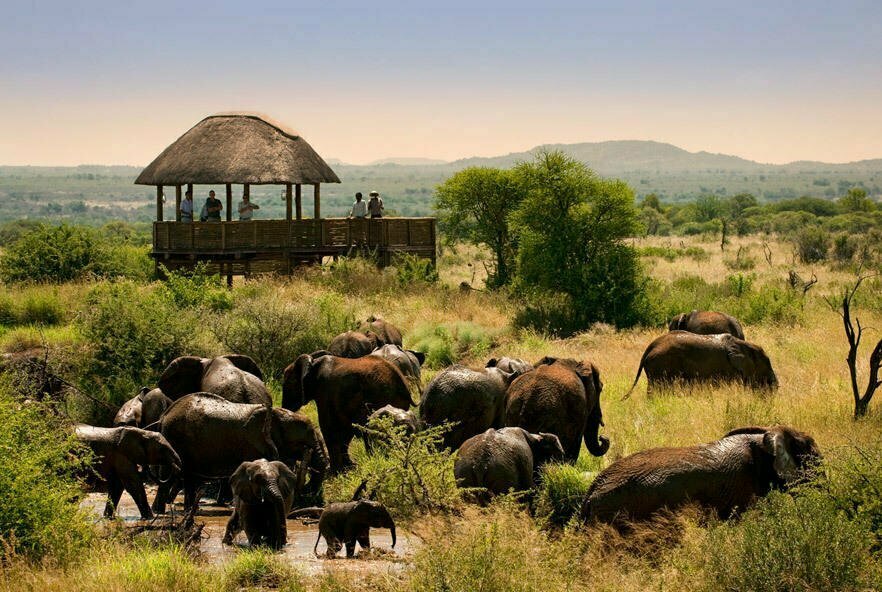Go2Africa Customer Spotlight safari expedition