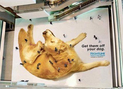 Advertising Ideas