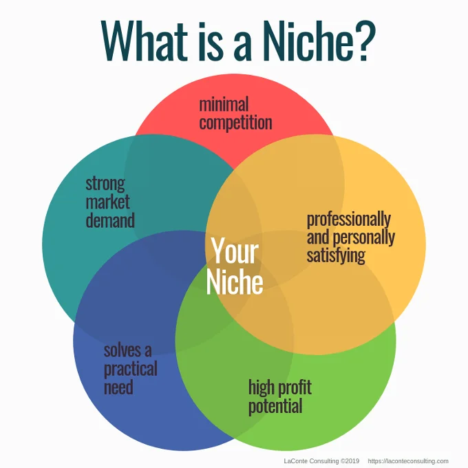 Effective brand strategy chart defining "what is a niche"