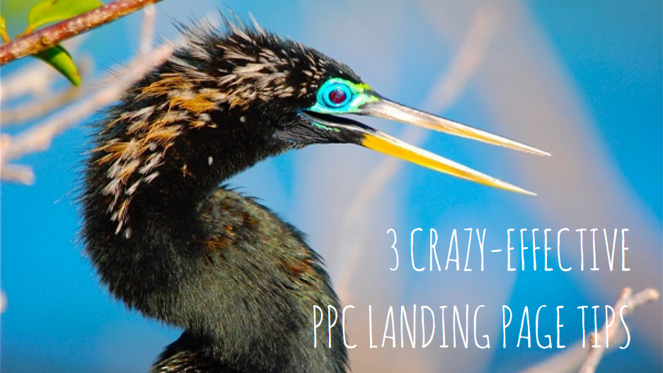 ppc landing page tips