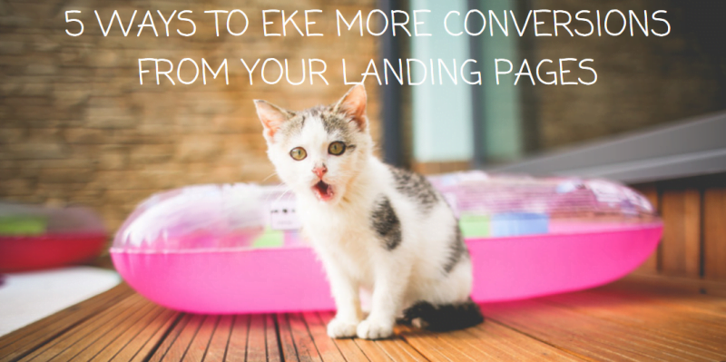 5 Non-Obvious Ways to Eke More Conversions from Your Landing Pages