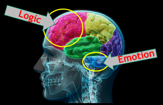 Emotional ads logic vs emotion