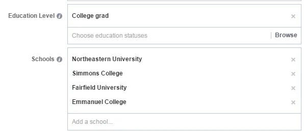 Online advertising Facebook ads educational attainment targeting options