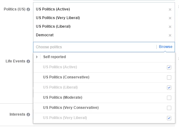 Facebook audience example of targeting political affiliations 