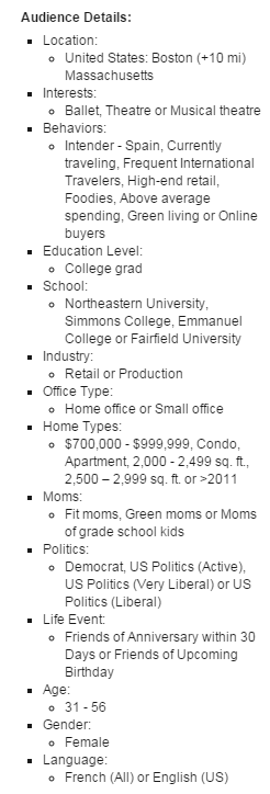 Facebook audience summary of all the targeting options we set up