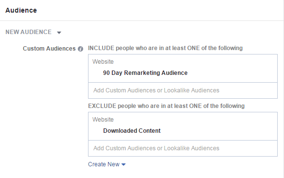 Facebook conversion tracking exclude content download audience