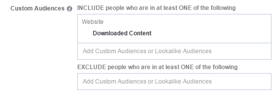 Facebook conversion tracking nurture funnel custom audience