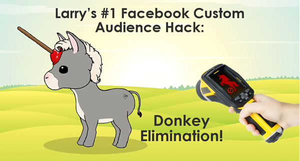 facebook audience strategies