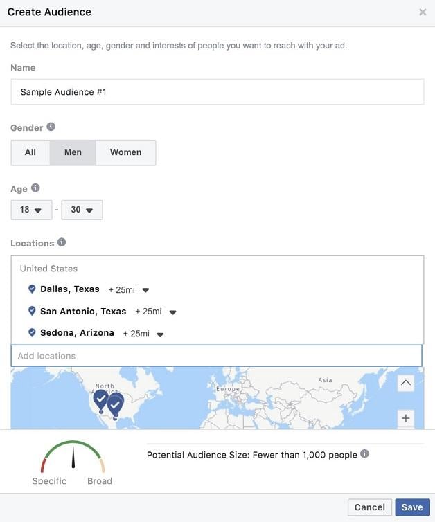 Facebook Insights "Create Audience" view