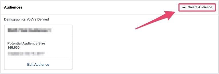 "Create Audience" button