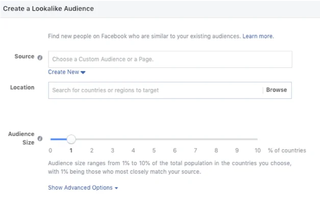 Facebook Lead Ads vs. Landing Pages Audience