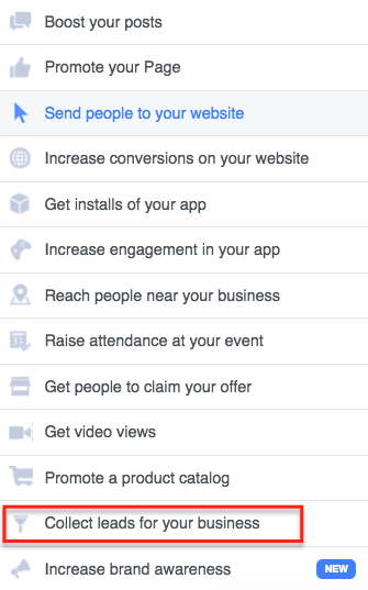 Facebook Lead Ads collect leads
