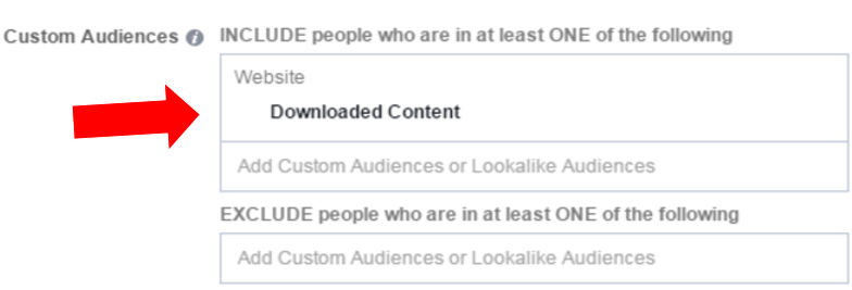 facebook nurture custom audiences 