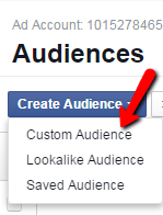 Facebook remarketing screenshot of custom audience option