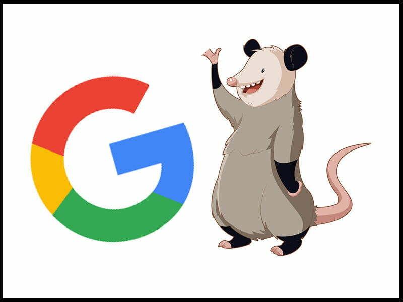 Google Fred Update Possum