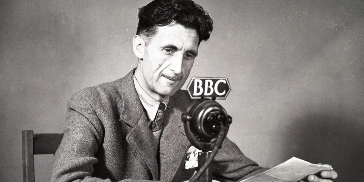 google-search-statistics-orwell-radio-segment