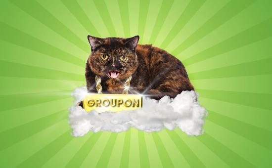 Groupon Cat