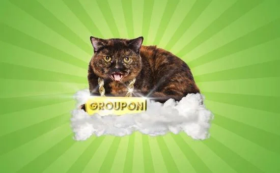 Groupon Cat