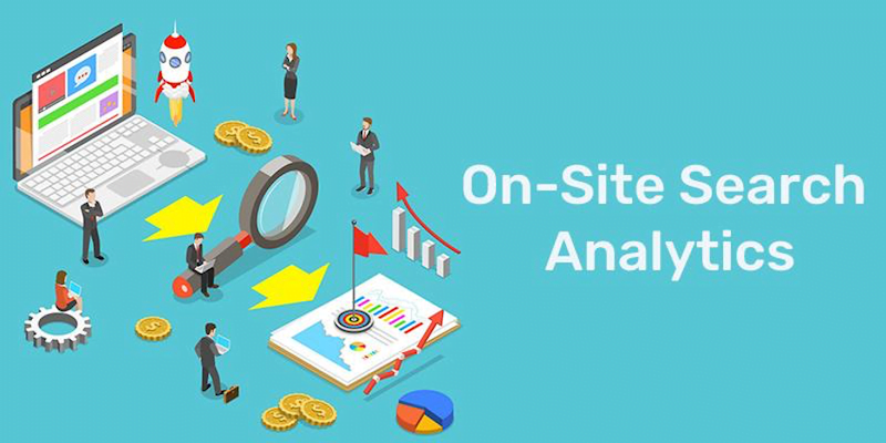increase online store sales by analyzing data on-site search analytics