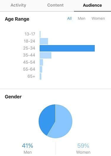 Instagram analytics audience insights