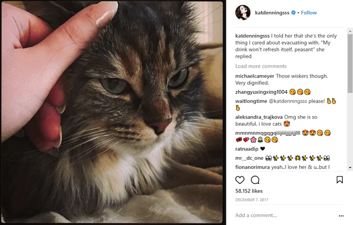 evil cat instagram caption example