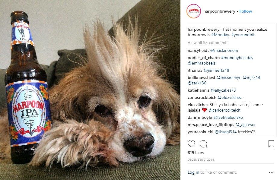 harpoon-dog-post-instagram-marketing