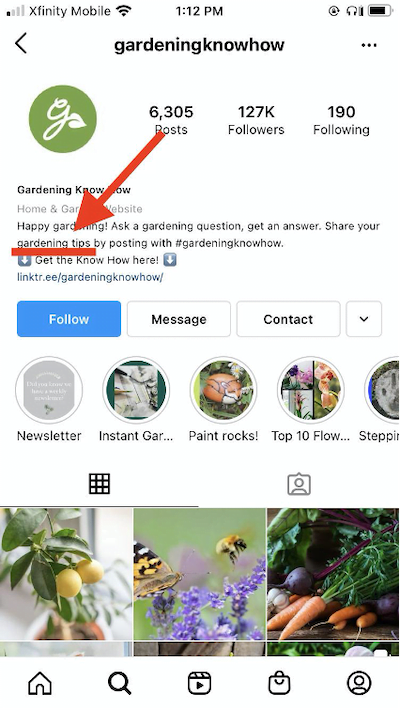 instagram seo—keyword in bio description