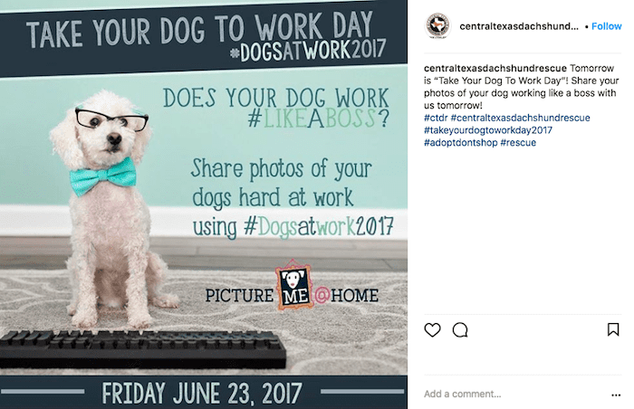 june marketing ideas bring your dog to work day contest