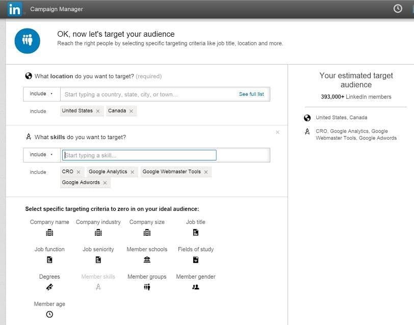 LinkedIn Ads Campaign Management tool audience targeting