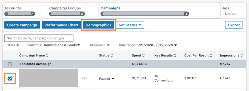 linkedin website demographics—individual campaign reporting option