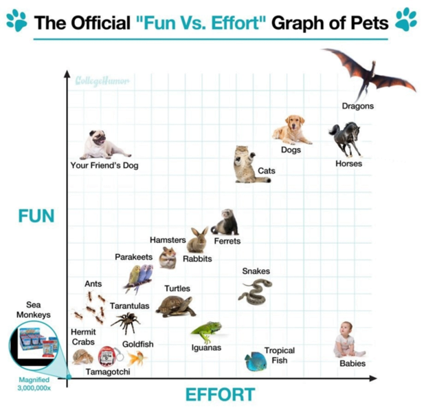 marketing charts