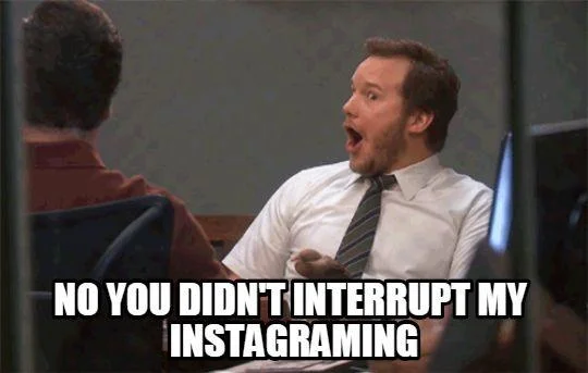 Mobile clicks funny gif saying "No you didn't interrupt my instagramming"